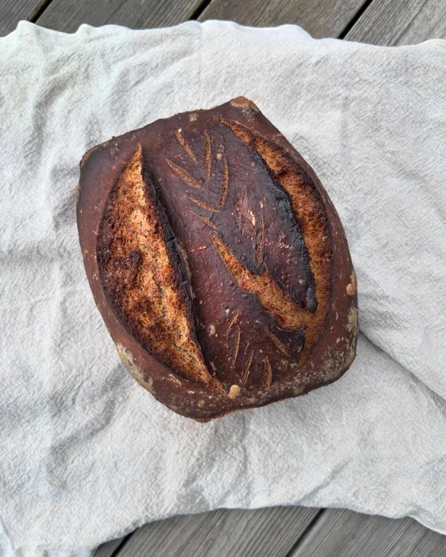 Helgens dinkelbröd blev ok. #nattbagaren #dinkel #warbro #sourdough